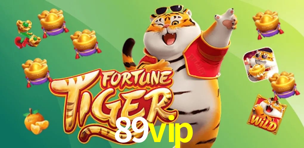 Experiência VIP 89vip